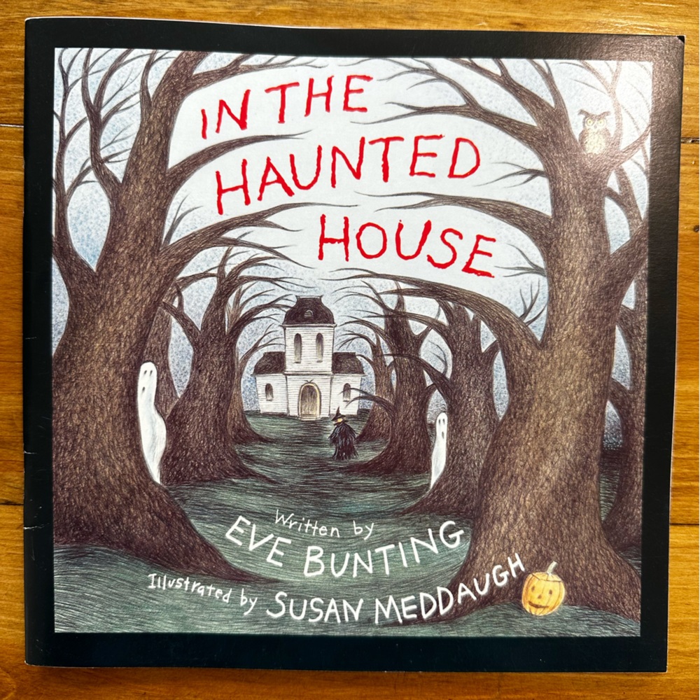 In the Haunted House Book